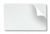 Купить TS-Card Sticker