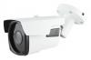 Купить AltCam DCV21IR-2