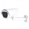 Купить AltCam DCV24IR-PTZ