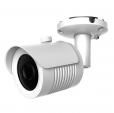 Купить AltCam DCF81IR