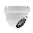 Купить AltCam DDMF81IR